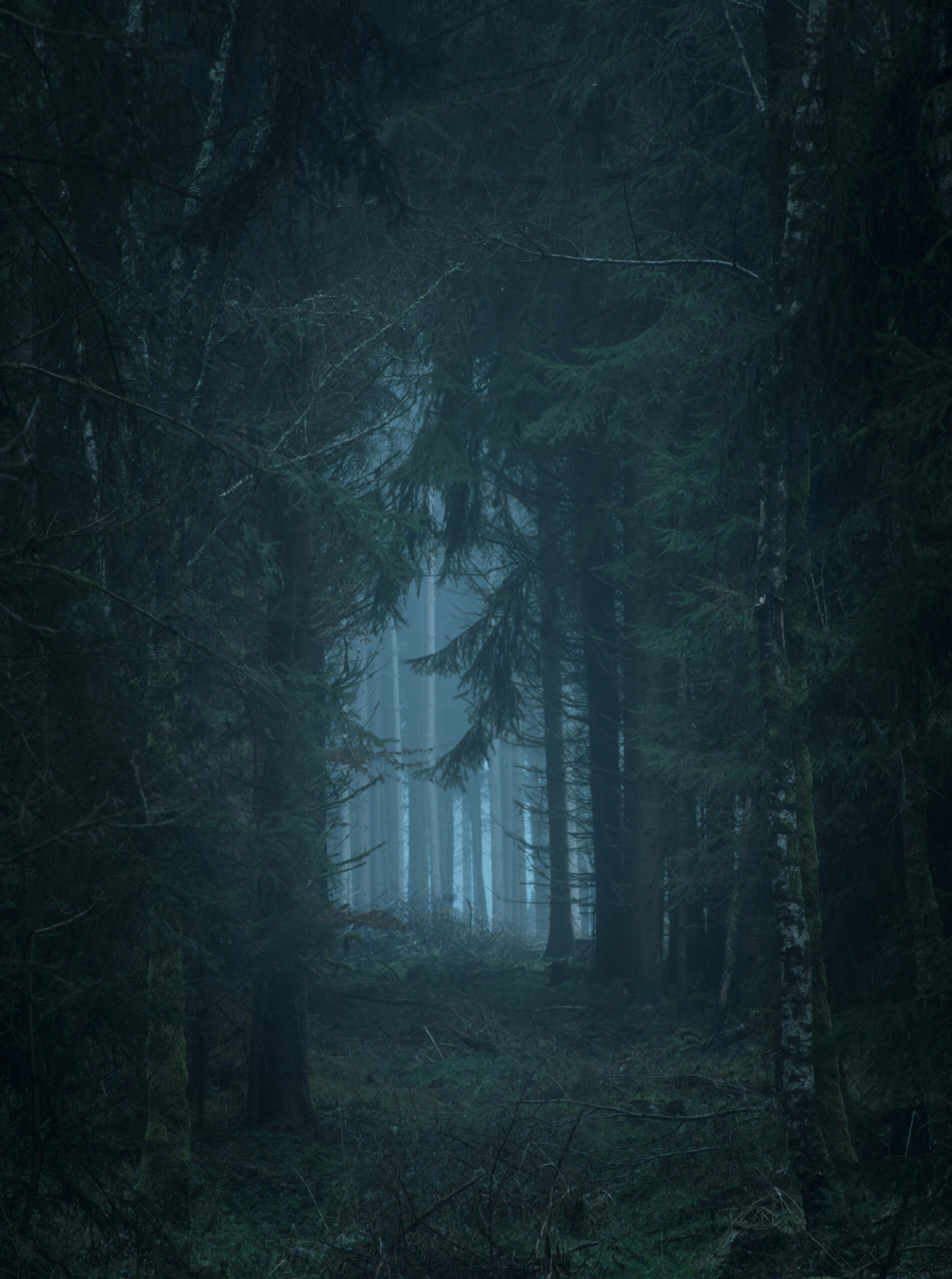 Beitragsbild von Hallo Welt